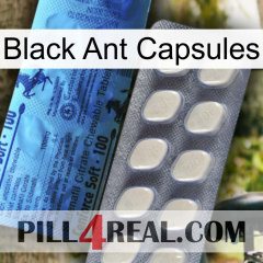 Black Ant Capsules 34